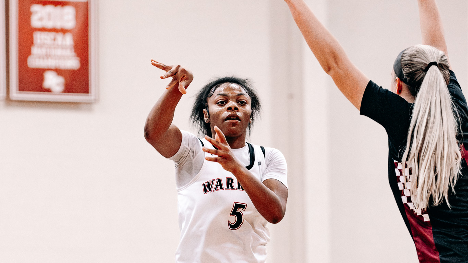 Women's Basketball drops game against #7 Saint Francis (IN)