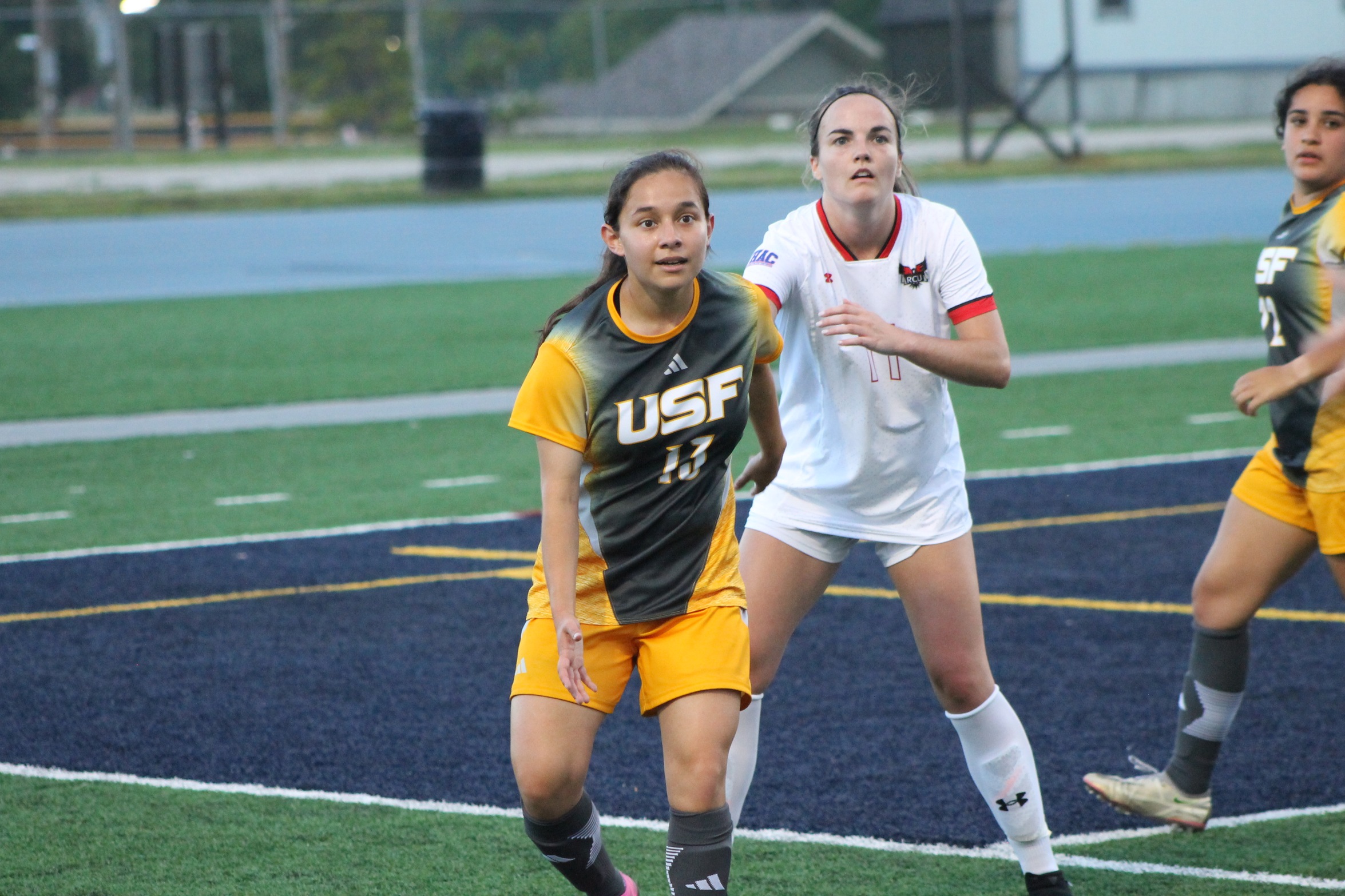 (St. Francis Athletics)